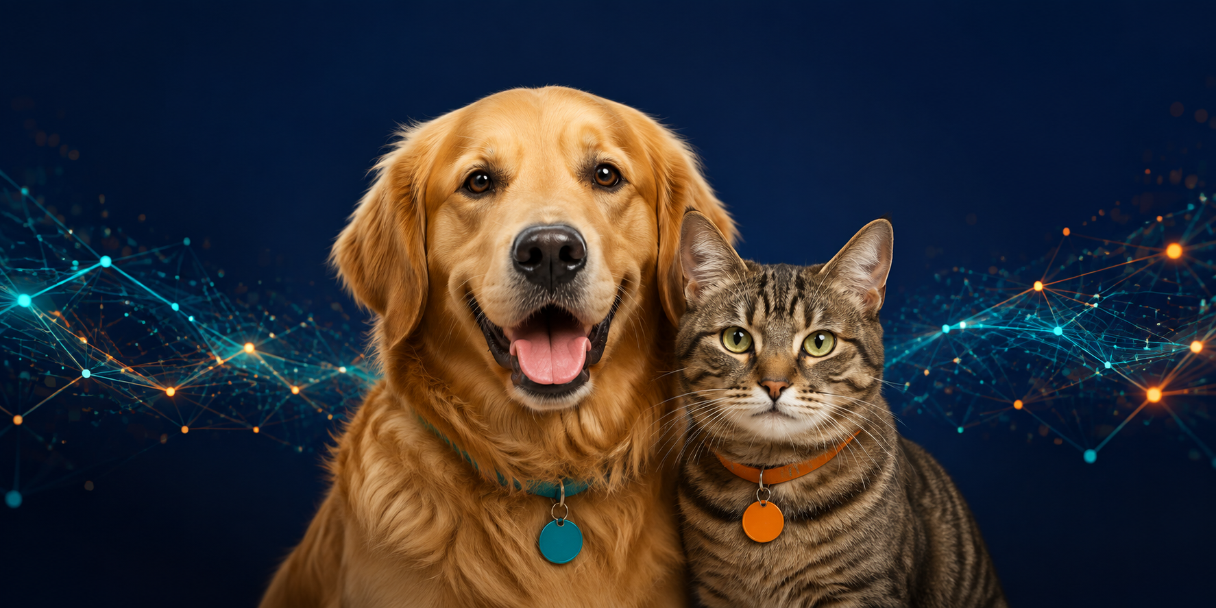 Pet Names Database visual preview