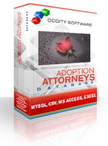 Adoption Attorneys Database artwork