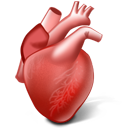 Cardiologists Database