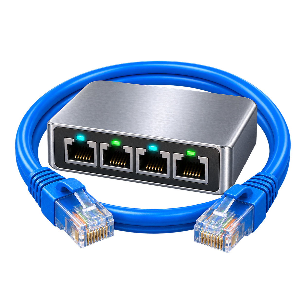 Computer Networking Services Database