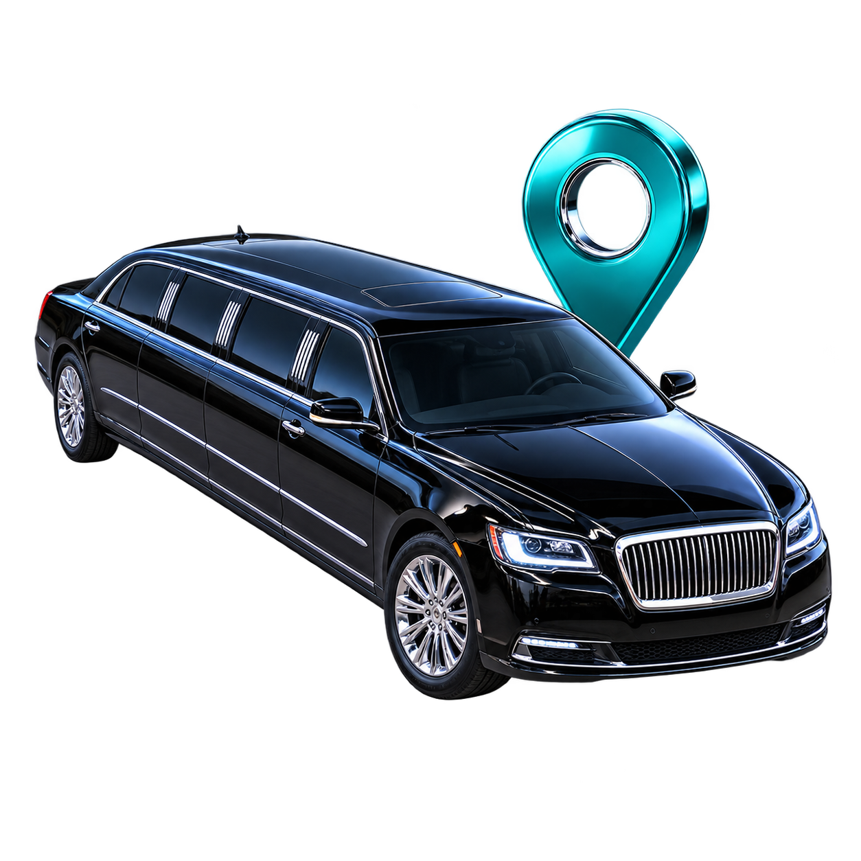U.S. Limousine Services Database