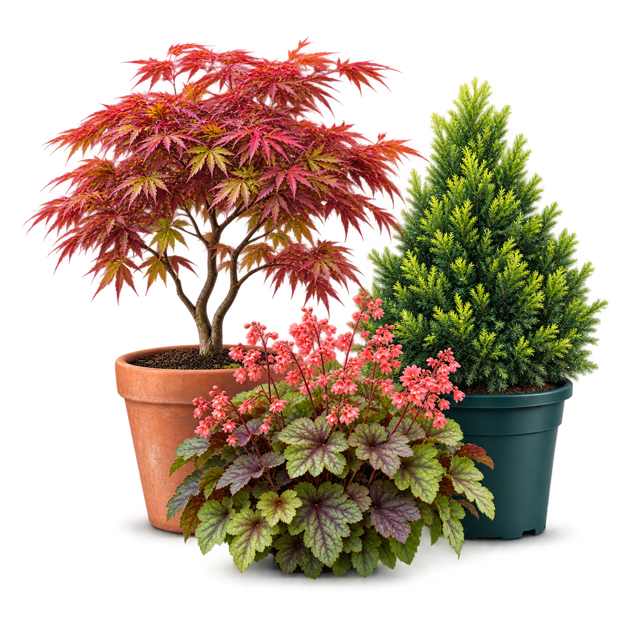 U.S. Nurseries, Plants and Trees Database